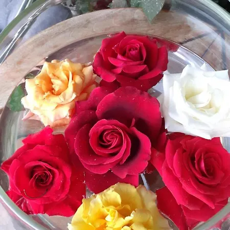 Luxury Dim 아파트