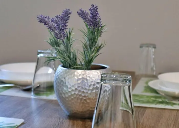 Luxury Dim Apartment