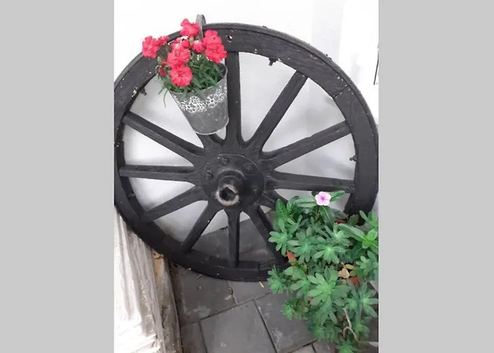 Luxury Dim Apartment Split