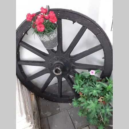 Luxury Dim Апартаменты Сплит